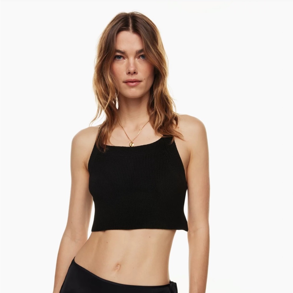 Aritzia Cayenne Top
